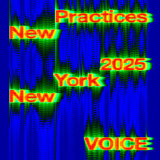 New Practices New York 2025 call for entries