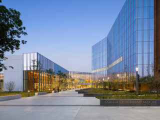 Cornell University College of Veterinary Medicine — AIA New York