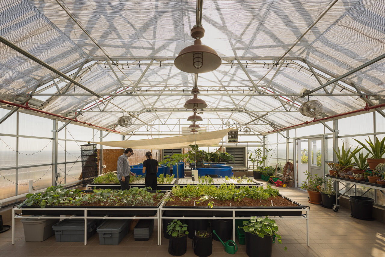 Bedford Green House I — AIA New York